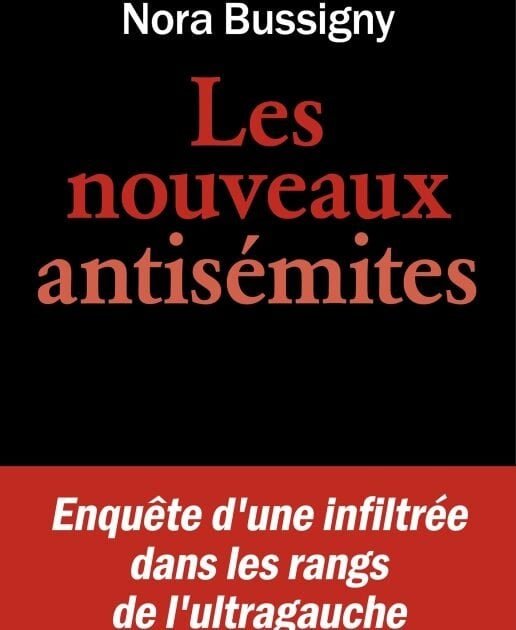 Couverture de Les Nouveaux Antisémites de Nora Bussigny (Albin Michel)
